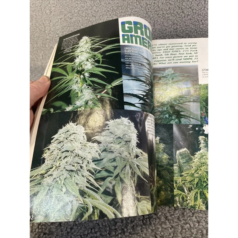 High Times Magazine * December 1996 * Canada Seed Company - Mexican Drug War‎